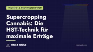 Titelbild: Supercropping Cannabis: Die HST-Technik für maximale Erträge