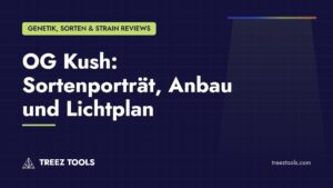 Titelbild: OG Kush: Sortenporträt, Anbau und Lichtplan