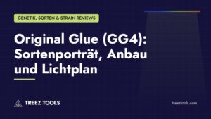 Titelbild: Original Glue (GG4): Sortenporträt, Anbau und Lichtplan