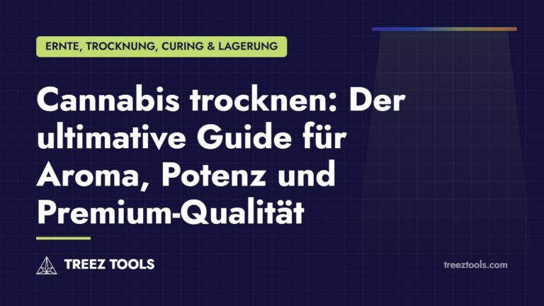 Titelbild: Cannabis trocknen: Der ultimative Guide für Aroma, Potenz und Premium-Qualität
