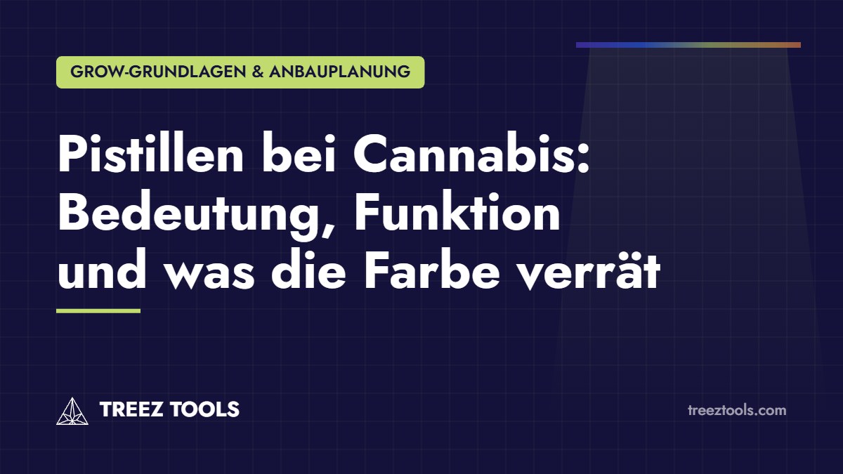 Titelbild: Pistillen bei Cannabis: Bedeutung, Funktion und was die Farbe verrät