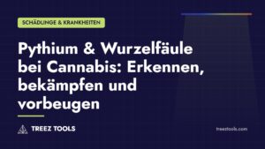 Titelbild: Pythium & Wurzelfäule bei Cannabis: Erkennen, bekämpfen und vorbeugen