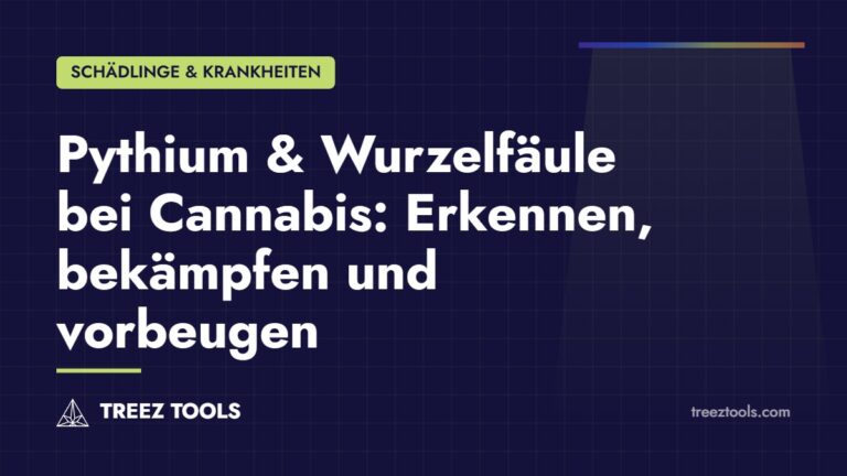 Titelbild: Pythium & Wurzelfäule bei Cannabis: Erkennen, bekämpfen und vorbeugen