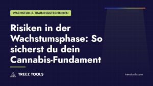 Titelbild: Risiken in der Wachstumsphase: So sicherst du dein Cannabis-Fundament
