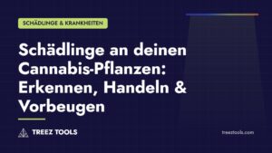 Titelbild: Schädlinge an deinen Cannabis-Pflanzen: Erkennen, Handeln & Vorbeugen