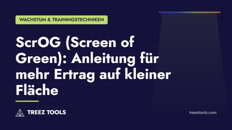 Titelbild: ScrOG (Screen of Green): Anleitung für mehr Ertrag auf kleiner Fläche