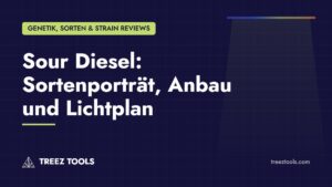 Titelbild: Sour Diesel: Sortenporträt, Anbau und Lichtplan