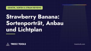 Titelbild: Strawberry Banana: Sortenporträt, Anbau und Lichtplan