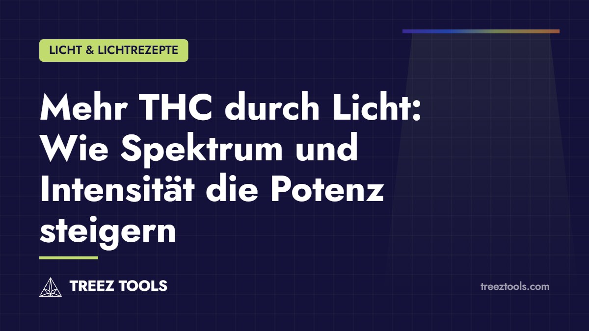 Titelbild: Mehr THC durch Licht: Wie Spektrum und Intensität die Potenz steigern