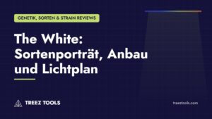 Titelbild: The White: Sortenporträt, Anbau und Lichtplan