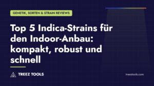 Titelbild: Top 5 Indica-Strains für den Indoor-Anbau: kompakt, robust und schnell