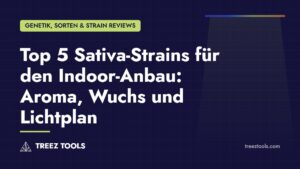 Titelbild: Top 5 Sativa-Strains für den Indoor-Anbau: Aroma, Wuchs und Lichtplan