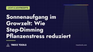Titelbild: Sonnenaufgang im Growzelt: Wie Step-Dimming Pflanzenstress reduziert