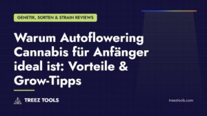 Titelbild: Warum Autoflowering Cannabis für Anfänger ideal ist: Vorteile & Grow-Tipps