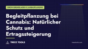 Titelbild: Begleitpflanzung bei Cannabis: Natürlicher Schutz und Ertragssteigerung