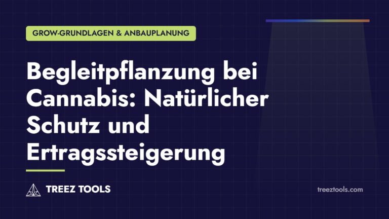 Titelbild: Begleitpflanzung bei Cannabis: Natürlicher Schutz und Ertragssteigerung