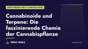 Titelbild: Cannabinoide und Terpene: Die faszinierende Chemie der Cannabispflanze
