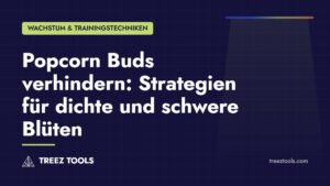 Titelbild: Popcorn Buds verhindern: Strategien für dichte und schwere Blüten