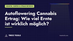 Titelbild: Autoflowering Cannabis Ertrag: Wie viel Ernte ist wirklich möglich?