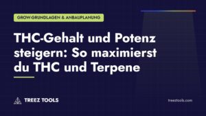 Titelbild: THC-Gehalt und Potenz steigern: So maximierst du THC und Terpene