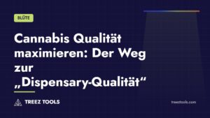Titelbild: Cannabis Qualität maximieren: Der Weg zur „Dispensary-Qualität“