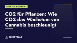 Titelbild: CO2 für Pflanzen: Wie CO2 das Wachstum von Cannabis beschleunigt