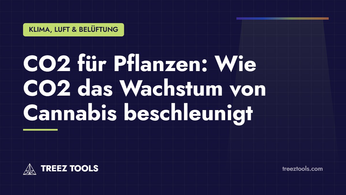 Titelbild: CO2 für Pflanzen: Wie CO2 das Wachstum von Cannabis beschleunigt